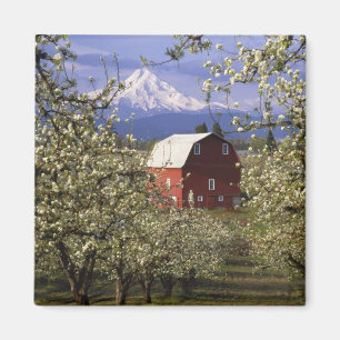 Imã N.A., EUA, Oregon, Condado de Hood River. Vermelha