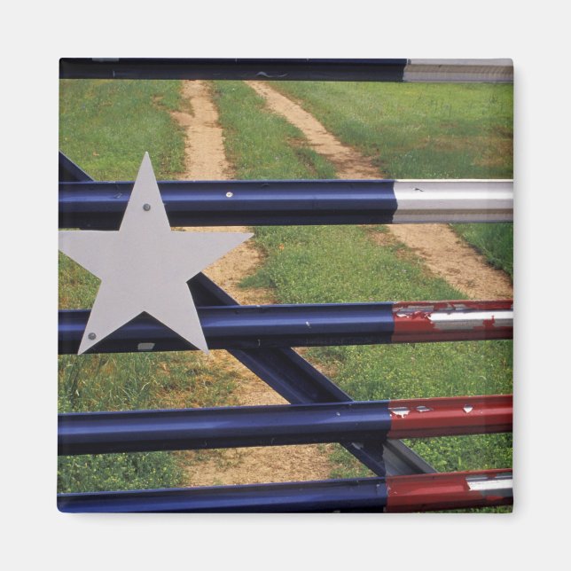 Imã N.A., EUA, Texas, Lago Buchanan, bandeira do Texas (Frente)