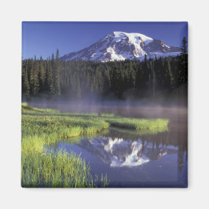 Imã N.A., EUA, Washington, Mt. Rainier Nacional 5