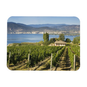 Ímã NA; Canadá; Colúmbia Britânica; Vale de Okanagan;