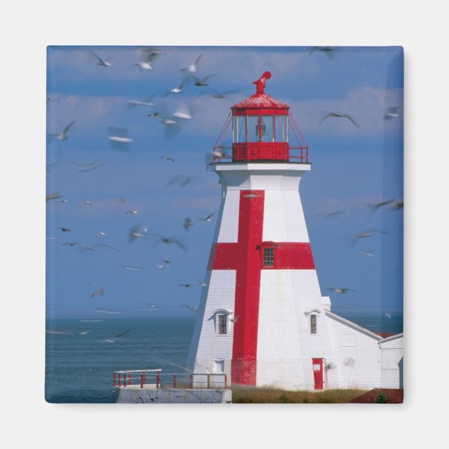 Imã NA, Canadá, Nova Brunswick, Ilha Campobello. 8 (Frente)