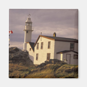 Imã NA, Canadá, Terra Nova, Lobster Cove. Lagosta