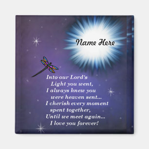 Imã Na Dragonfly Leve