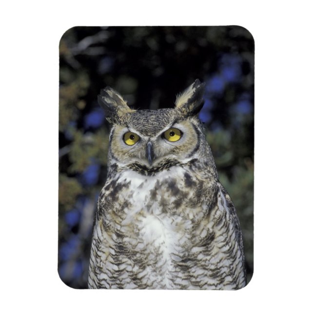 Ímã NA, EUA, Novo México, Parque da Natureza Wildlife  (Vertical)