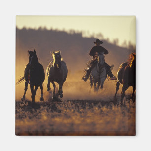 Imã NA, EUA, Oregon, Seneca, Ponderosa Ranch, Cowboy 2