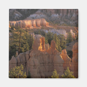 Imã NA, EUA, Utah, Parque Nacional Bryce Canyon 2