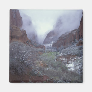 Imã NA, EUA, Utah, Zion NP, Tempestade de neve de prim