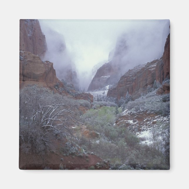 Imã NA, EUA, Utah, Zion NP, Tempestade de neve de prim (Frente)