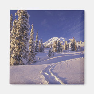 Imã NA, EUA, Washington, Mt. Rainier NP, Neve