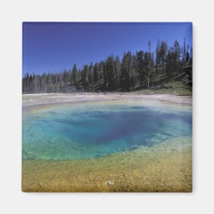 Imã NA, EUA, Wyoming, Parque Nacional de Yellowstone.