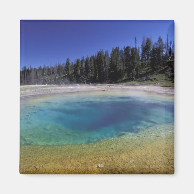 Imã NA, EUA, Wyoming, Parque Nacional de Yellowstone.  (Frente)