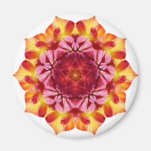 Imã Na flor