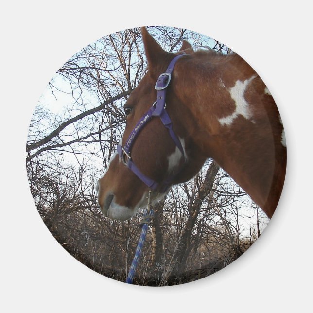 Imã Na floresta que eu olho (Frente)