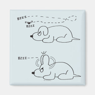 Imã Na idade de um cão