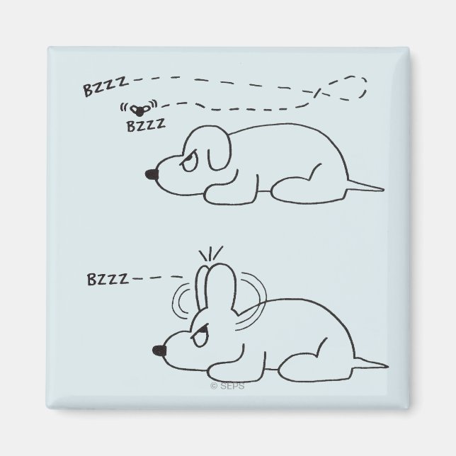 Imã Na Idade do Cão (Frente)