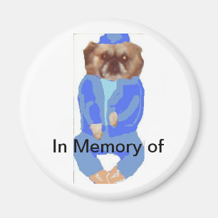 Imã Na memória do ímã