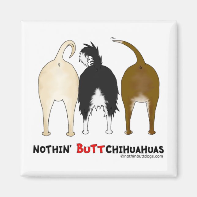 Imã Nada de Chihuahuas Bumbum (Frente)
