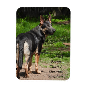 Ímã Nada Melhor Que Um Cachorro German shepherd