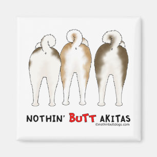 Imã Nada termina Akitas