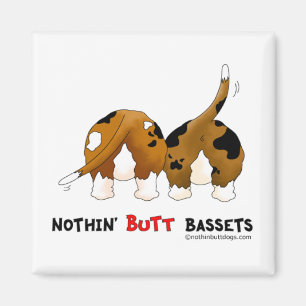 Imã Nada termina Bassets