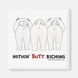 Imã Nada termina Bichons