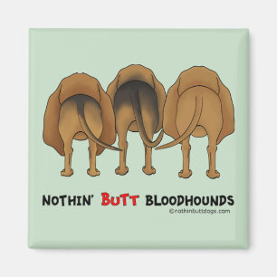 Imã Nada termina Bloodhounds