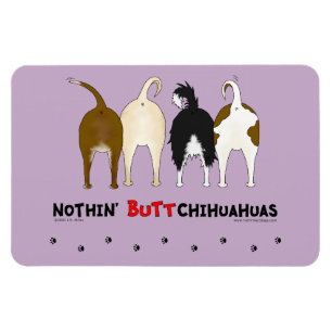 Ímã Nada termina chihuahuas
