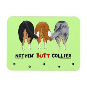 Ímã Nada termina Collies