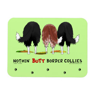 Ímã Nada termina Collies de beira