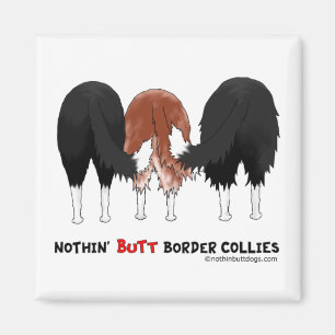 Imã Nada termina Collies de beira