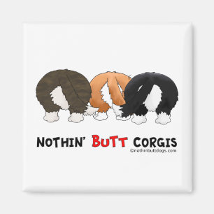 Imã Nada termina Corgis