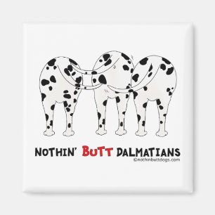 Imã Nada termina Dalmatians