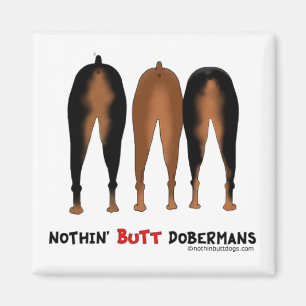 Imã Nada termina Dobermans