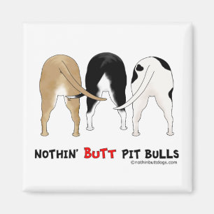 Imã Nada termina pitbull