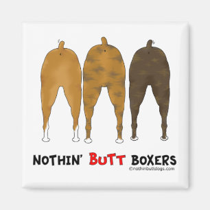 Imã Nada termina pugilistas