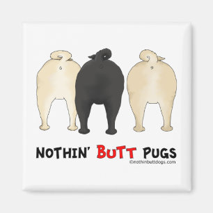 Imã Nada termina Pugs