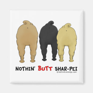 Imã Nada termina Shar-Pei