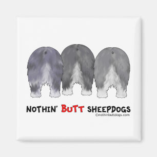 Imã Nada termina Sheepdogs