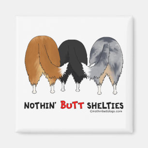 Imã Nada termina Shelties