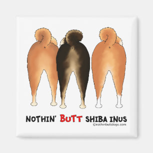Imã Nada termina Shiba Inus