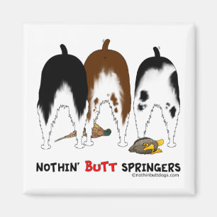 Imã Nada termina Springers