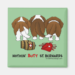 Imã Nada termina St. Bernards