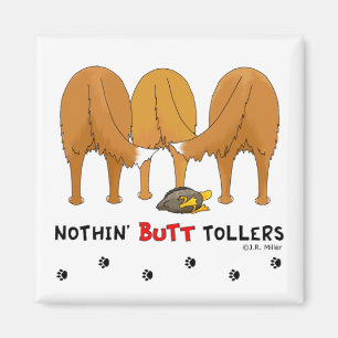 Imã Nada termina Tollers