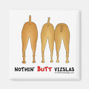 Imã Nada termina Vizslas