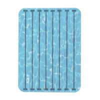 Nadadores Natação Equipe Nadadora Piscina