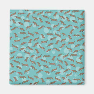 Imã Nadagem de Platypus