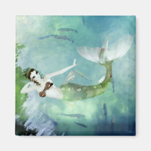 Imã Nadar com ímã de salmão