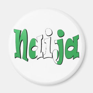 Imã Naija (bandeira nigeriana)