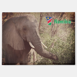 Imã Namibia