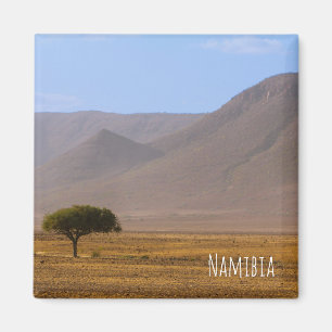 Imã Namíbia África Desert Scenerescage Natureza